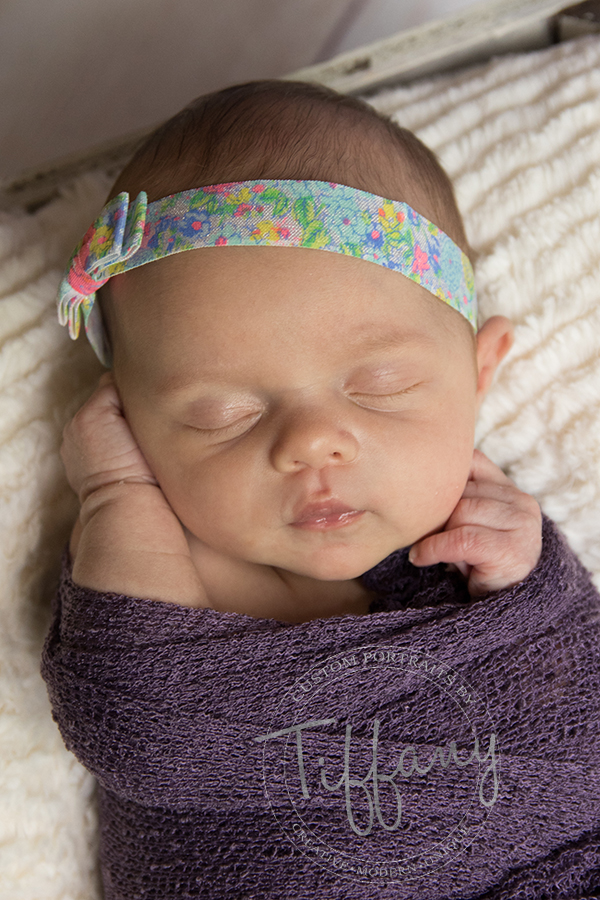 Cincinnati Ohio Photographer Photography Portraits Pictures Family Kids Children Child