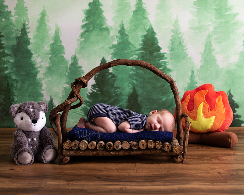 Cincinnati Ohio Photographer Photography Portraits Pictures Family Kids Baby