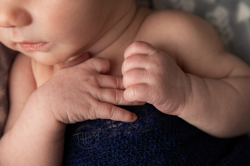 Cincinnati Ohio Photographer Photography Portraits Pictures Family Kids Baby